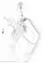 Fig. 02 - CLEANER HAVING STEAM GENERATOR