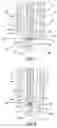 Fig. 05 - Method of forming a spark plug with multi-layer firing tip