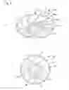 Fig. 06 - Method and apparatus for mounting conductive ball