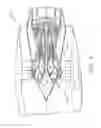 Fig. 03 - Methods and apparatus for performing engine maintenance