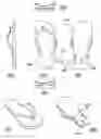 Fig. 01 - Footwear