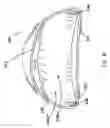 Fig. 10 - Footwear for use during and after a pedicure and method of using same