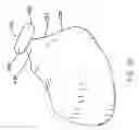 Fig. 22 - Footwear for use during and after a pedicure and method of using same