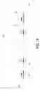 Fig. 08 - ELECTRONICALLY CONTROLLED GRADE CROSSING GATE SYSTEM AND METHOD