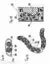 Fig. 06 - Thermal cushion and device comprising such a cushion