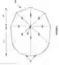 Fig. 05 - Canopy for a stationary covering device having an asymmetrical shape