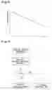 Fig. 09 - Refrigerating storage cabinet and refrigerating equipment