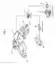 Fig. 02 - Key interlock device for steering column lock device