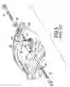 Fig. 06 - Captive washers of a drum