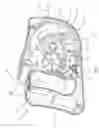 Fig. 08 - Motorized pet leash assembly