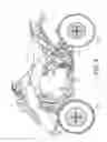 Fig. 06 - Crankshaft bearing assembly