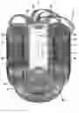 Fig. 01 - Hairpiece