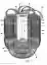 Fig. 02 - Hairpiece