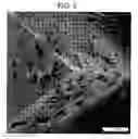 Fig. 04 - Probe washing method of scanning probe microscope