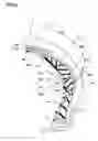 Fig. 03 - Runflat tire