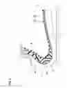 Fig. 04 - Runflat tire