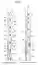 Fig. 10 - Shutter curtain lifting prevention structure in shutter device