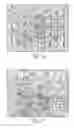 Fig. 08 - Tissue containing relatively high basis weight buckled regions