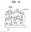 Fig. 07 - Enzyme electrode