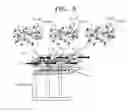 Fig. 06 - Biomolecule detection device, mobile phone for biomolecule detection, and biomolecule detection method