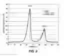 Fig. 03 - Crystalline wax