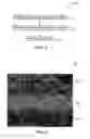 Fig. 05 - Membrane structure and method of making