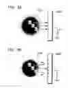 Fig. 03 - Plasma etching method