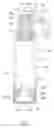 Fig. 02 - Piston for fluid container