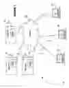 Fig. 02 - System and method for verifying identity during data entry with a barcode scanner