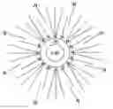 Fig. 01 - Semiconductor nanoparticle surface modification