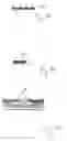 Fig. 08 - Stable dispersions of polymer-coated graphitic nanoplatelets