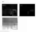 Fig. 03 - Nitride semiconductor light emitting device and method for fabricating the same
