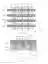 Fig. 02 - Non-volatile memory