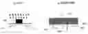 Fig. 01 - Method and structure of an one time programmable memory device in an embedded EEPROM