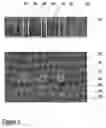 Fig. 06 - Microelectromechanical component