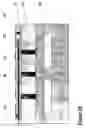 Fig. 18 - Microelectromechanical component