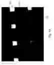 Fig. 04 - Electronic and optoelectronic devices with quantum dot films
