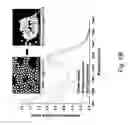 Fig. 09 - Electronic and optoelectronic devices with quantum dot films