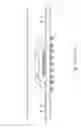 Fig. 02 - System-in-package structure