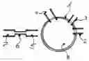 Fig. 01 - METHOD AND APPARATUS FOR CARBONIZING A LIQUID