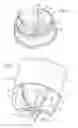 Fig. 03 - Drawing-blowing method and device for molding thermoplastic material containers, in particular bottles, with petaloid bottoms