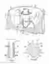 Fig. 04 - Drawing-blowing method and device for molding thermoplastic material containers, in particular bottles, with petaloid bottoms