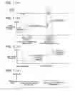 Fig. 07 - Image forming apparatus and sheet material conveyance device used therein