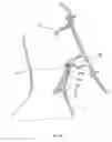 Fig. 06 - Pillar ramp structure for preventing interference with curtain airbag