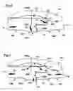 Fig. 04 - Sealed tubular joint comprising local and initial added thickness(es) by means of plastic expansion