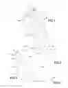 Fig. 02 - Seat comfort device, and methods of constructing and utilizing same