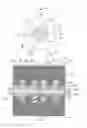 Fig. 03 - Rotor assembly for an electric machine including a vibration damping member and method of manufacturing same
