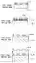 Fig. 110 - Surface acoustic wave apparatus and manufacturing method therefor