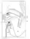 Fig. 01 - Holstered cordless power tool