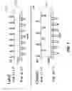 Fig. 06 - Arterial spin labeling with pulsed radio frequency sequences